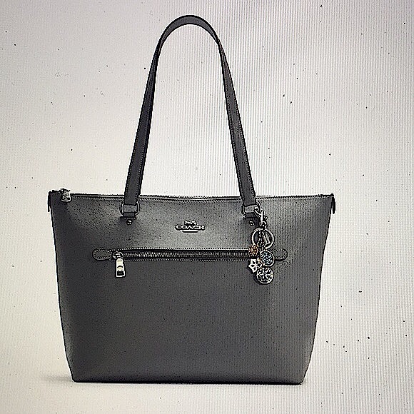 COACH - SNOWFLAKE CLUSTER BAG CHARM/KEYCHAIN (NWT) - Picture 11 of 12